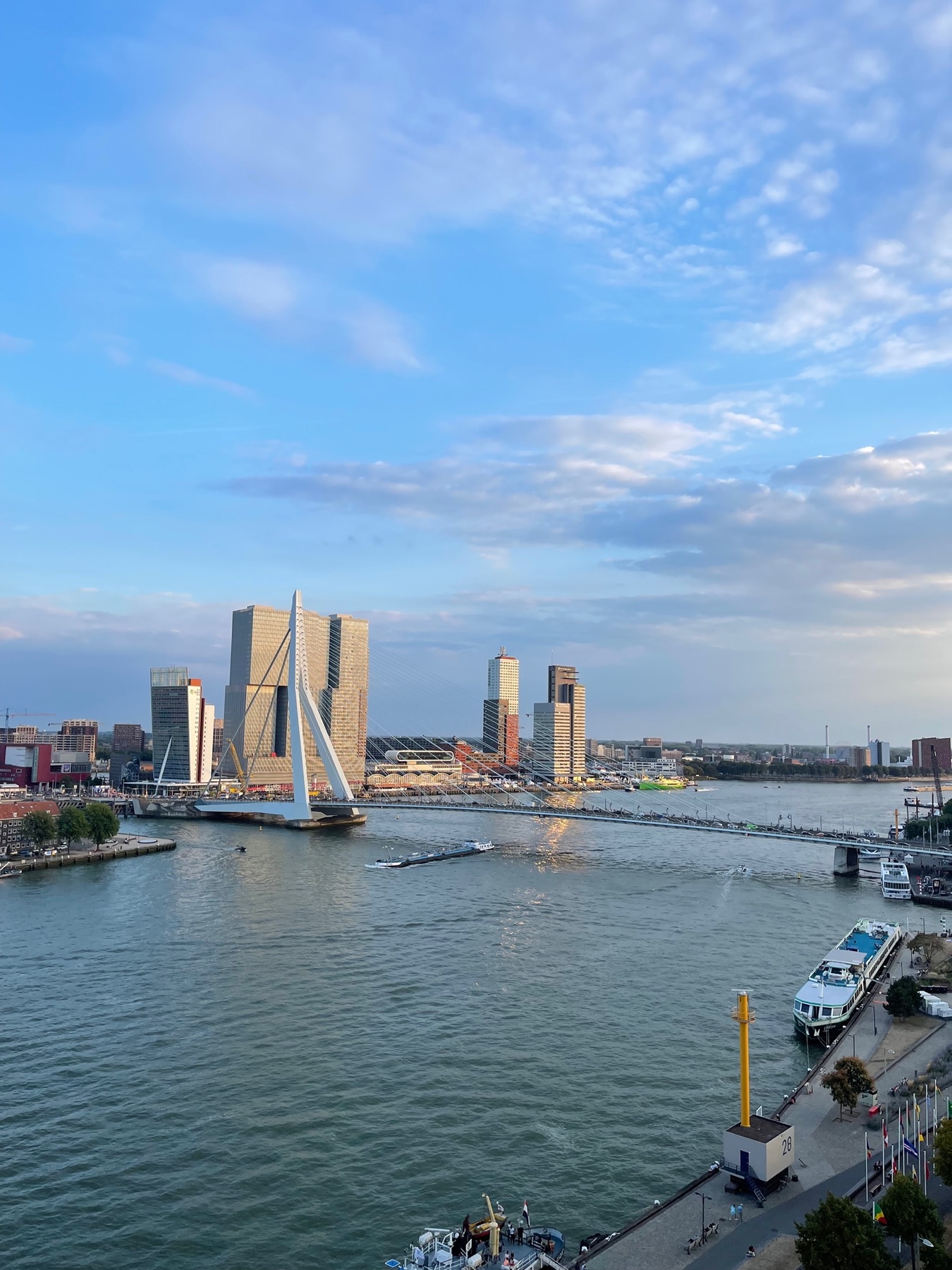 Rotterdam, Erasmusbrug